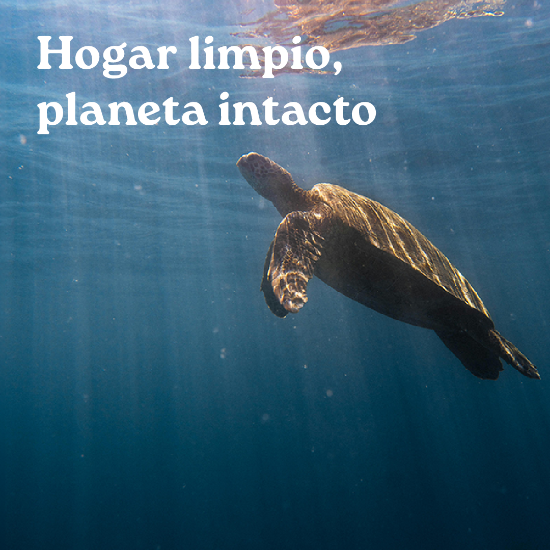 Hogar limpio, planeta intacto