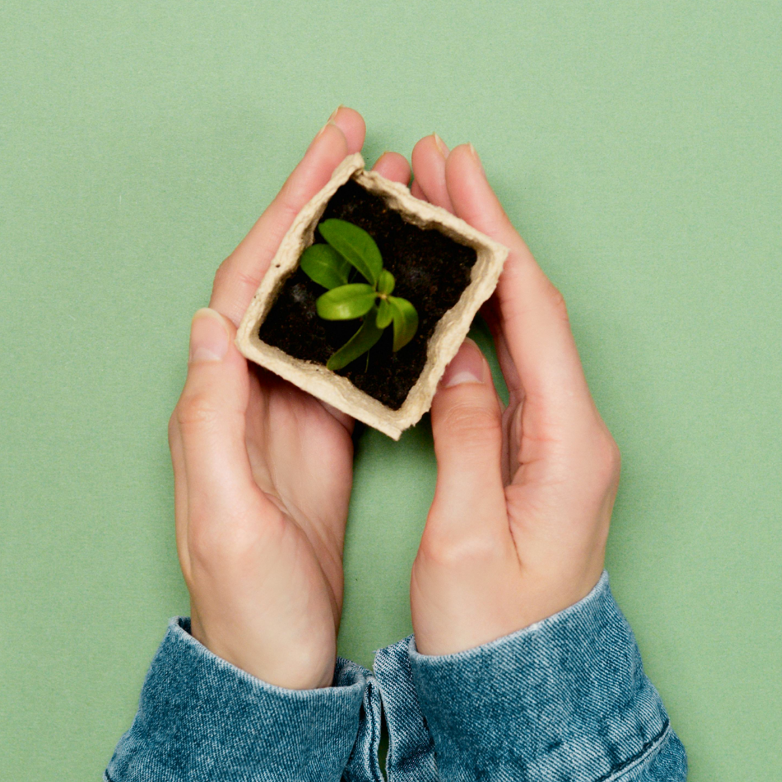Genera un cambio desde casa