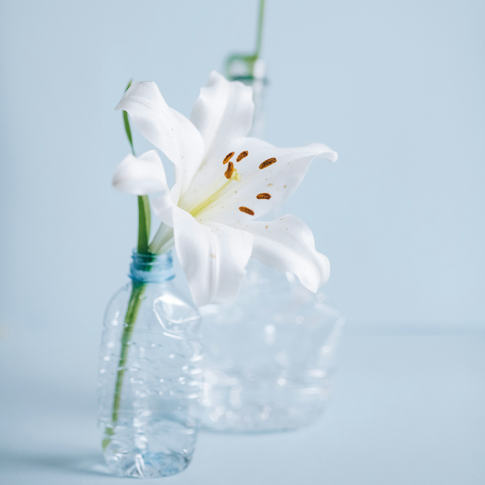 No botes tus botellas plásticas