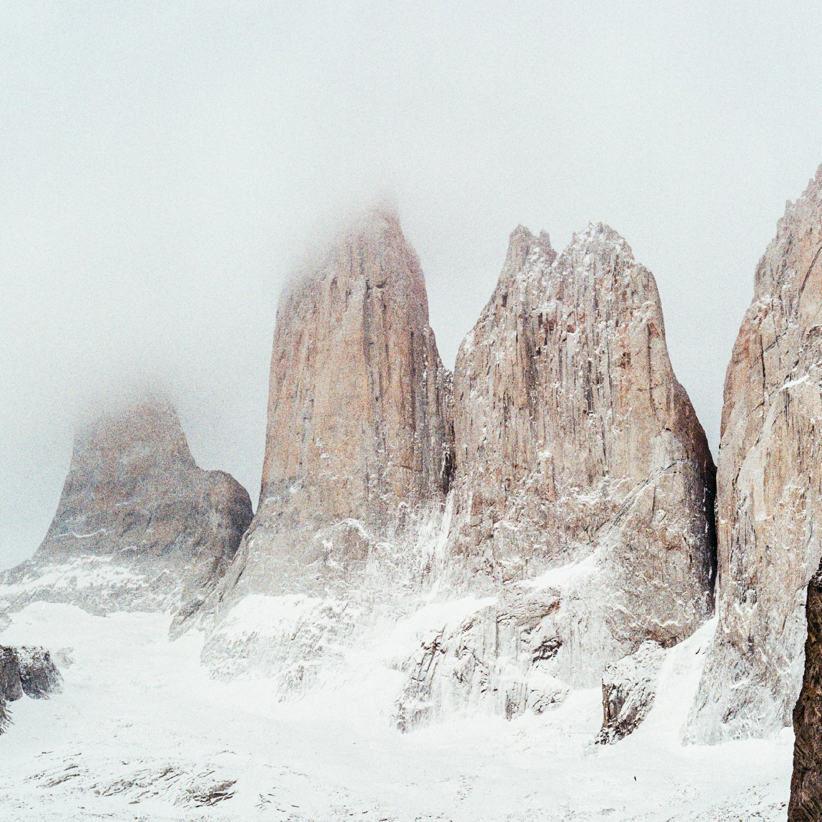 Huella de carbon neutral