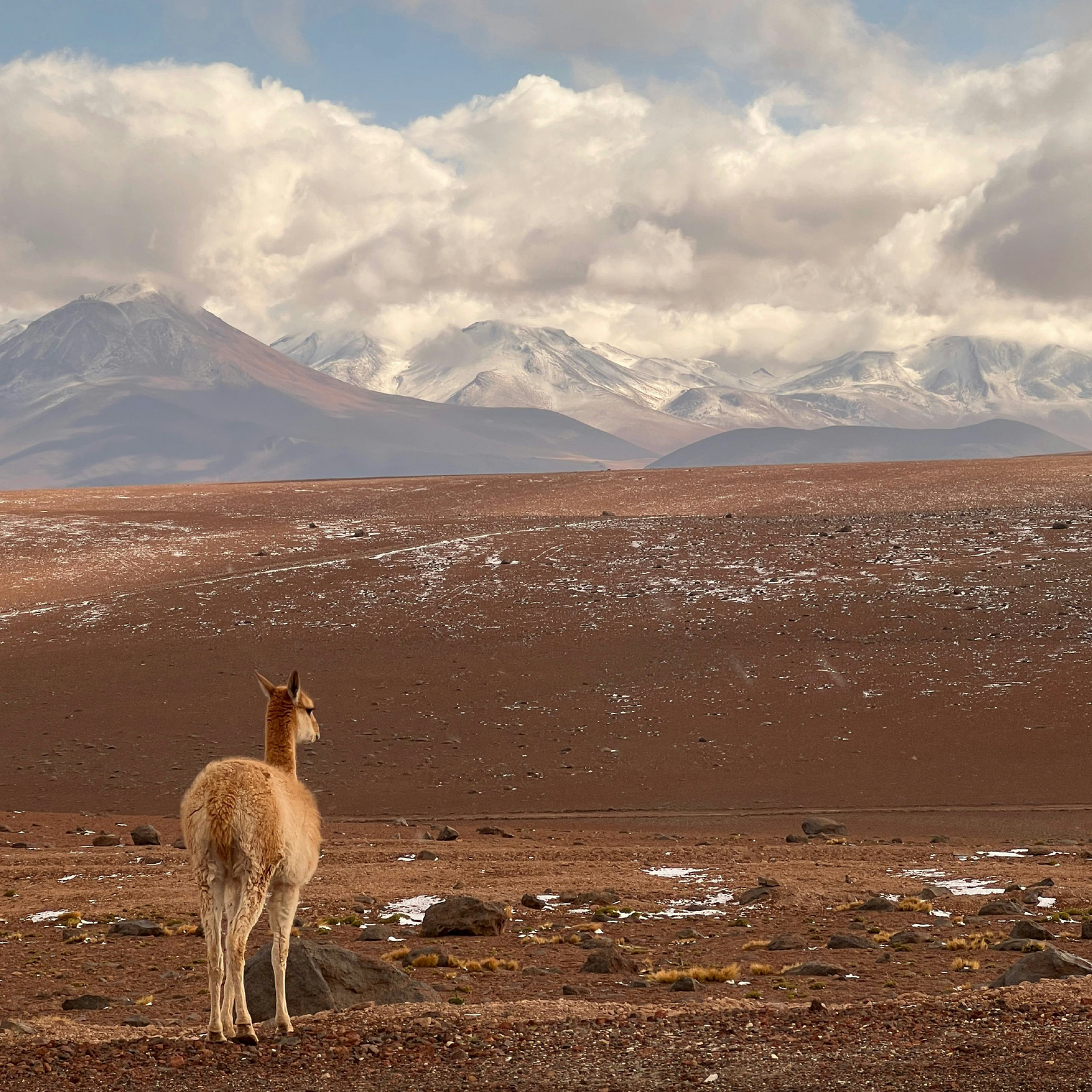¡No seas un viajero irresponsable!