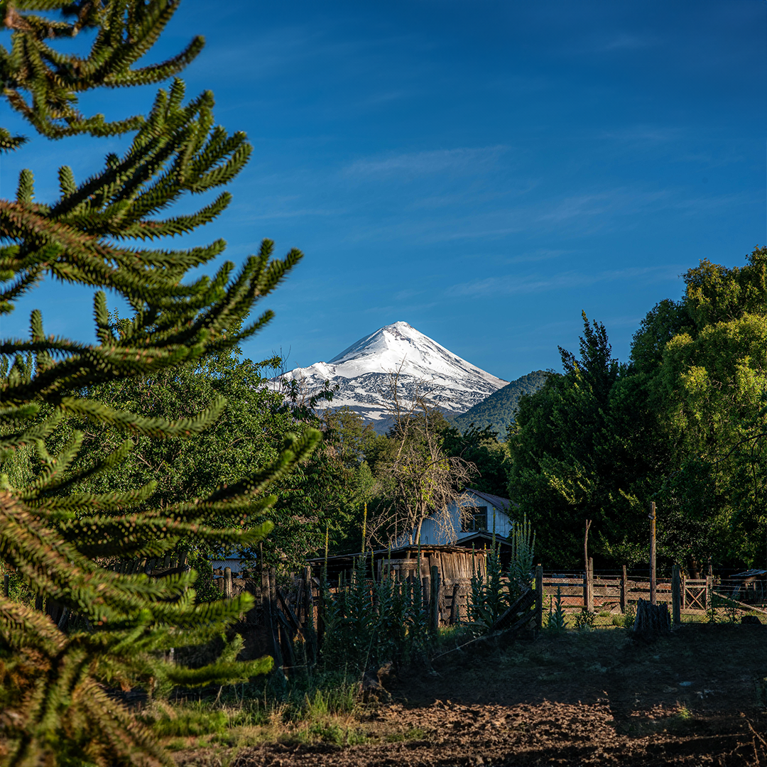 ¡Cuidado! Casa Nativa está revolucionando la forma en que vives y consumes