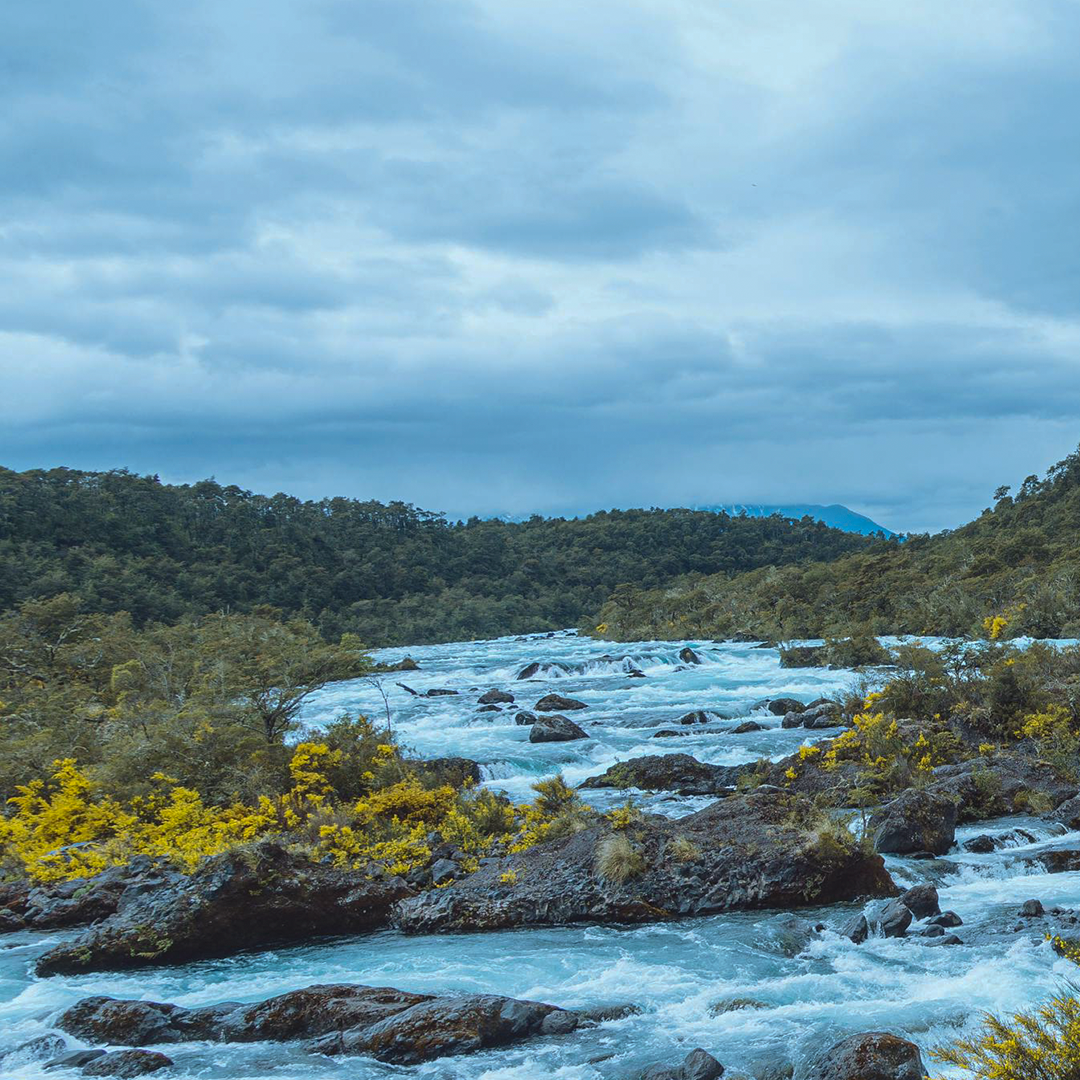 Limpieza Revolucionaria 