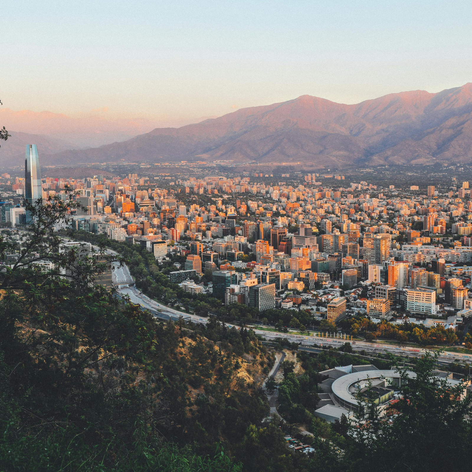 ¿Aire más limpio? Desde Casa Nativa hacemos la diferencia