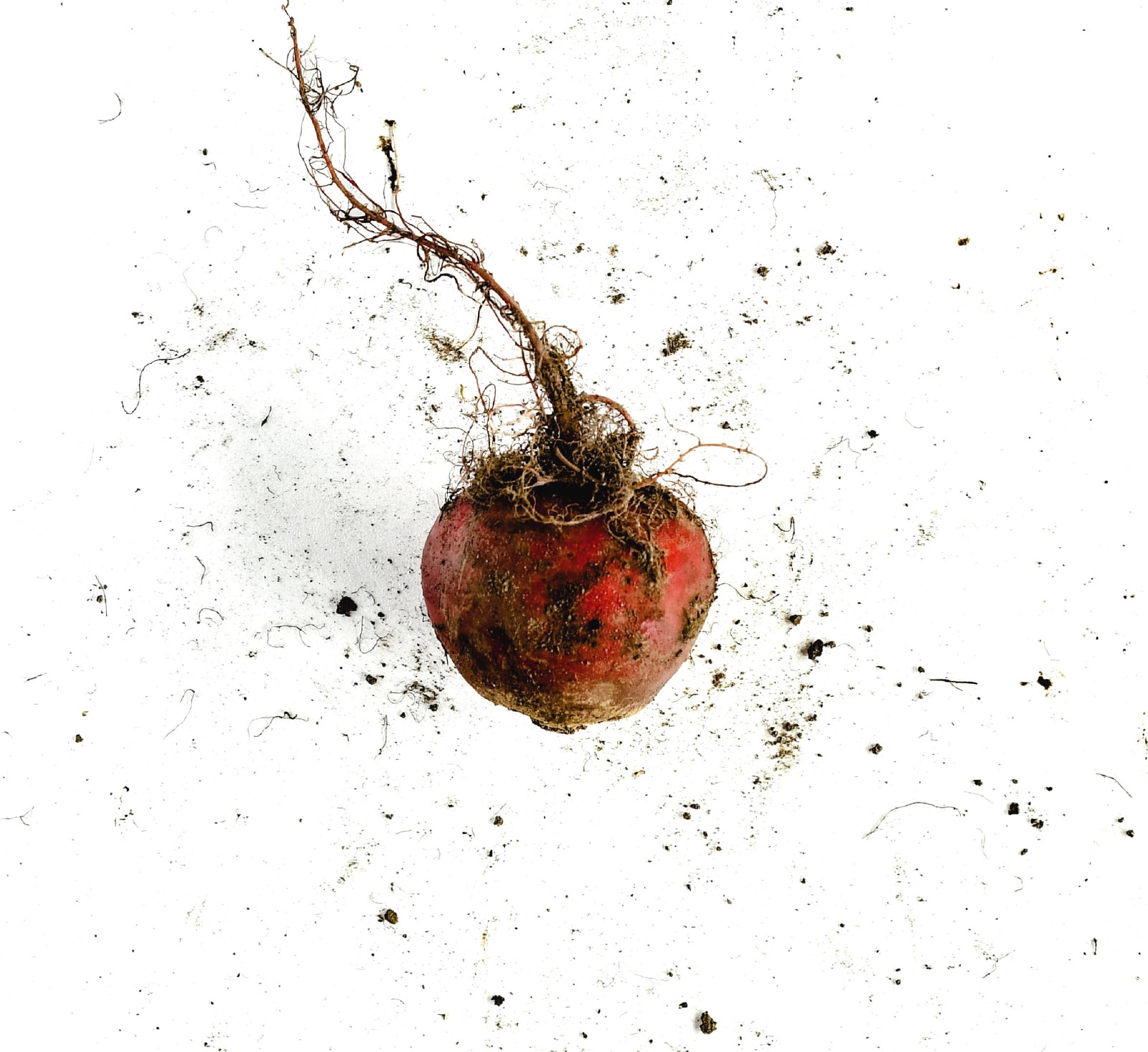 Alimentos con pesticidas